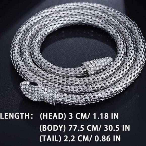 Silver Bendable Snake Choker Necklace - Picture 4 of 4